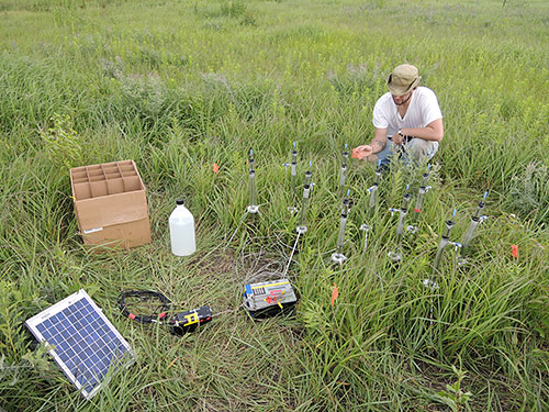 Measuring infiltration in the field.